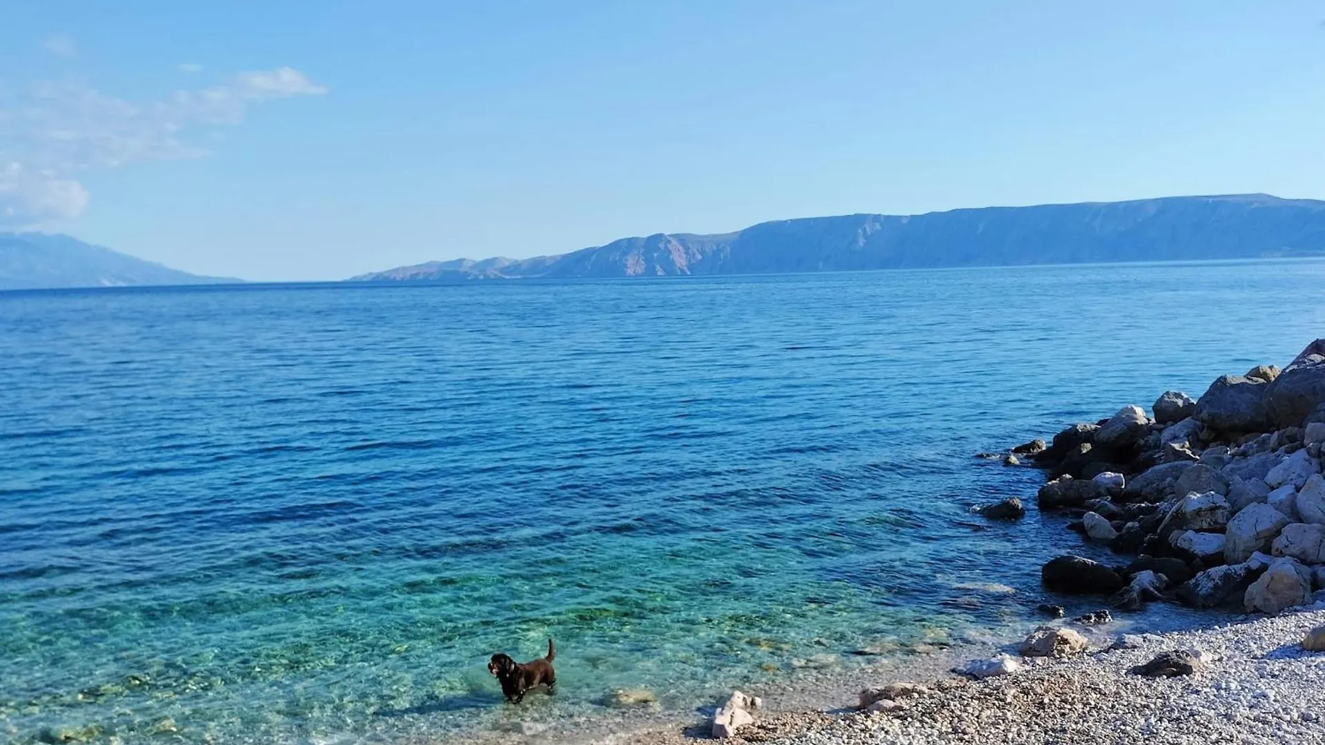 Apartmani Ivana Novi Novi Vinodolski Apartmán